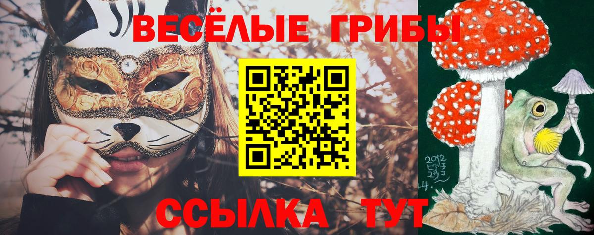 Псилоцибиновые грибы Cubensis  Вход с VPN  Галлюциногенные грибы мицелий  Рассказово 